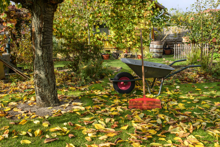 Rewrite this title, translating it in Italian: "How to Prepare Your Garden for Fall and Winter" Make it concise and slightly clickbait-y, while maintaining logical sense.