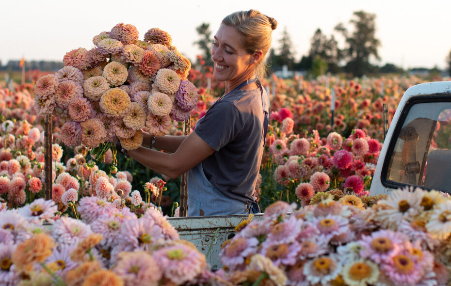 Incontra gli Originali Floret - I fiori che stupiscono!