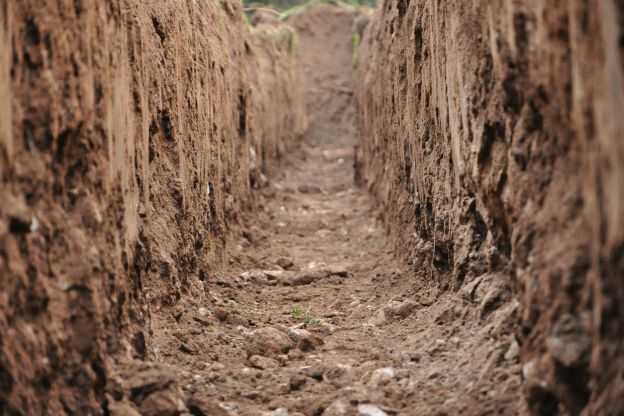 Draining Secrets: Fiori Incredibili Rivelati!