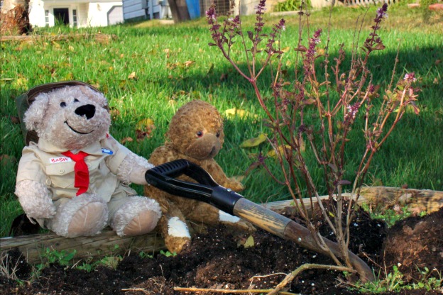 Rinfrescare un Vecchio Giardino: Trasforma il Tuo Fiori!