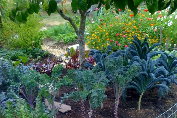 Le Radici del Giardino Moderno: Fiori e Tradizione!