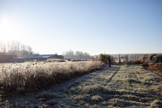 Campo in inverno presso Floret