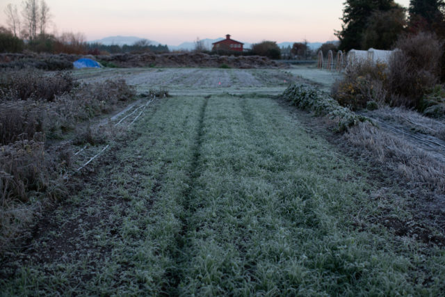 Campo in inverno presso Floret