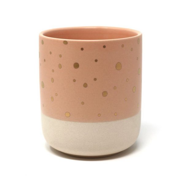 Vaso per succulente in vendita