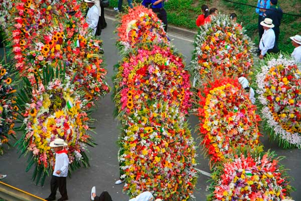 festival di fiori