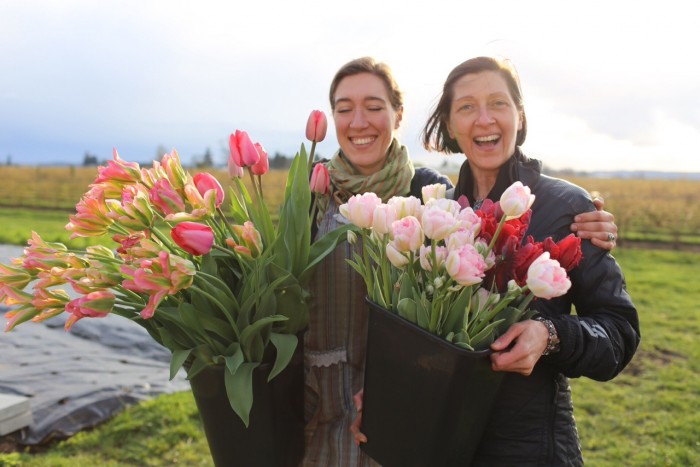 Fiori e Natura