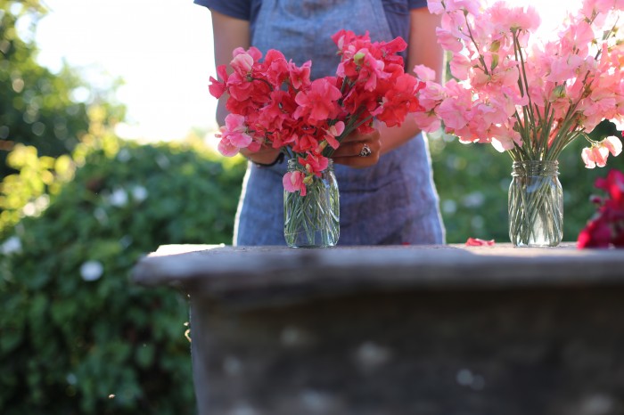 Sweet Peas: Restormel and Valerie Harrod