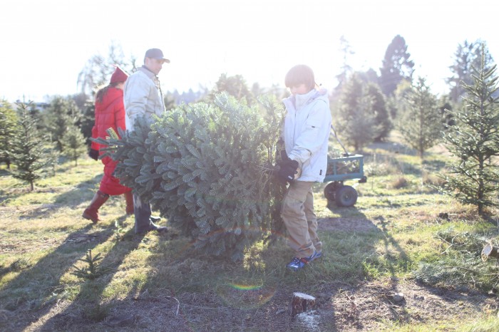 Christmas tree