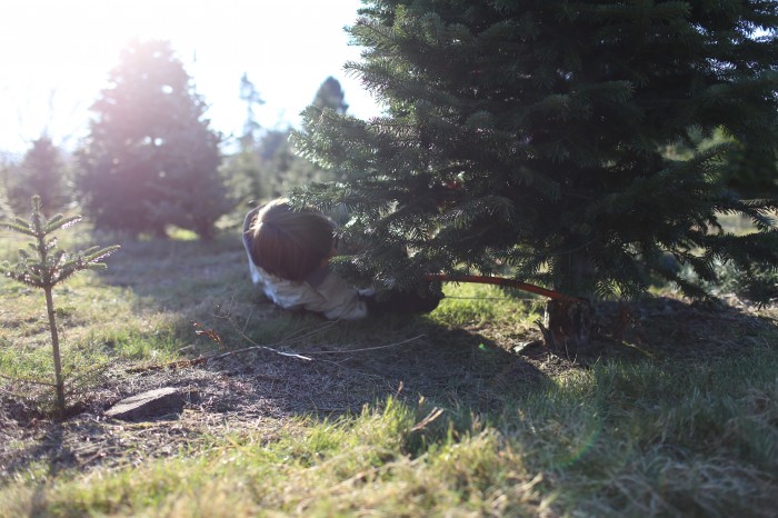 Jasper sawing down tree