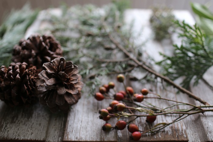 foraged ingredients