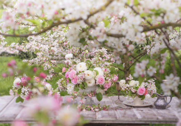 Fiori dell'azienda Floret, fotografia di Georgianna Lane