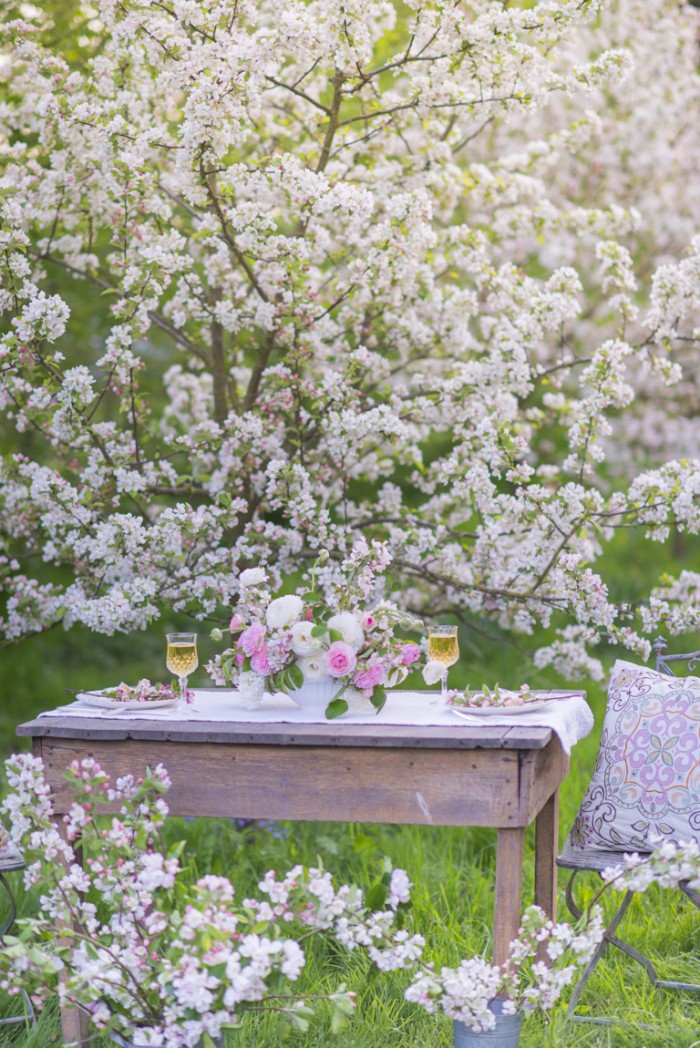 Fiori dell'azienda Floret, fotografia di Georgianna Lane