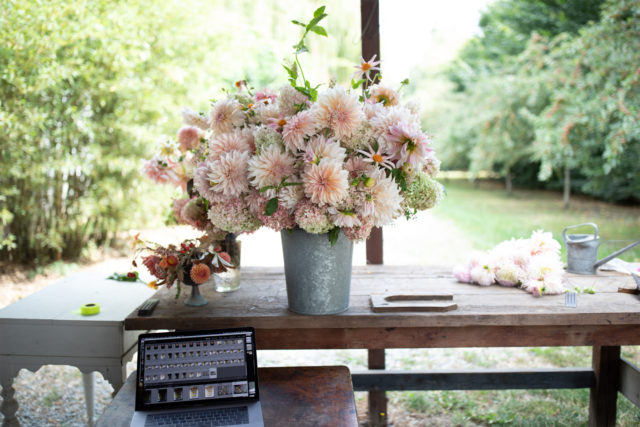 preparazione di un bouquet di dalie