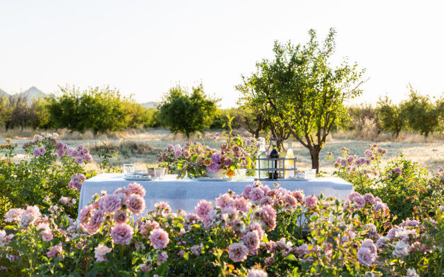 Bellissimo allestimento da tavolo nei campi di rose presso Menagerie Farm