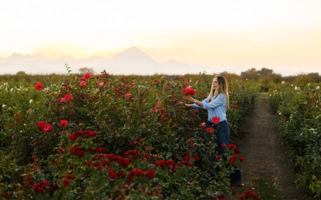 Felicia Alvarez nei campi di rose presso Menagerie Farm