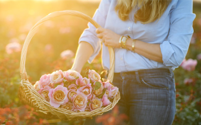 Cesto di rose taupe al tramonto