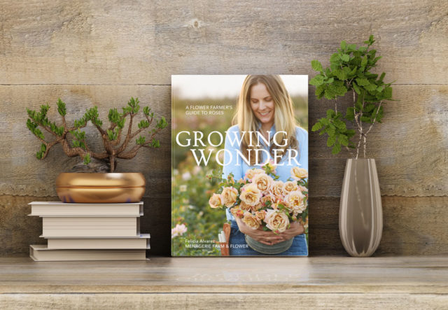 Libro Growing Wonder su uno scaffale