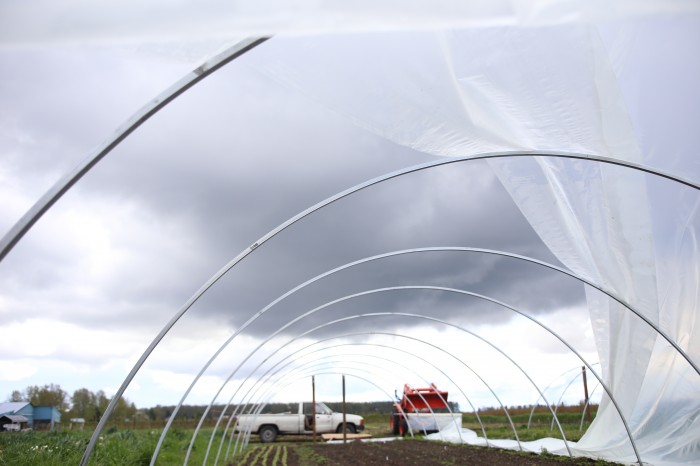 hoophouse sotto la tempesta