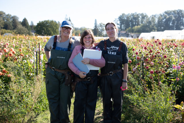 Professionista dei fiori insieme a Jill e Nina nel campo di breeding delle dalie Floret