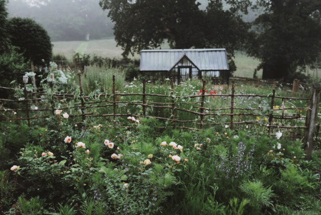 Giardino e serra di Milli Proust