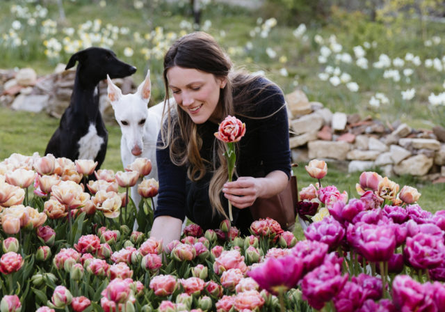 Milli Proust che raccoglie tulipani con i suoi cani