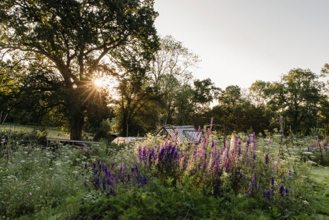 Giardino di Milli Proust