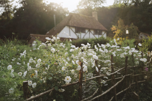 Cottage di Milli Proust con cosmos