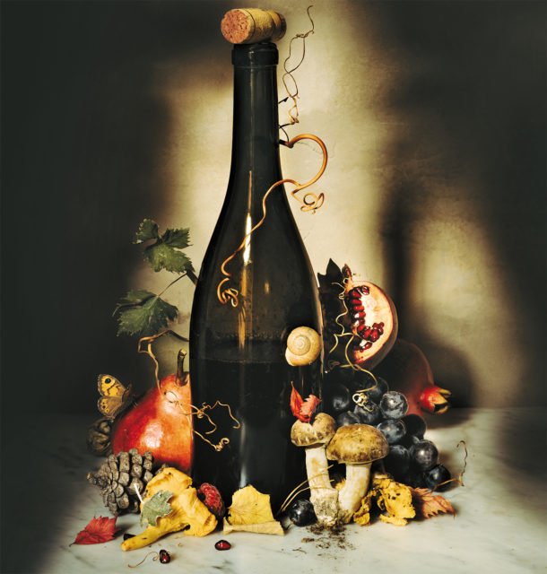 Fotografia di nature morte di una bottiglia di vino e frutta