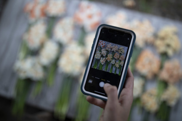 Floret che fotografa giacinti per Instagram