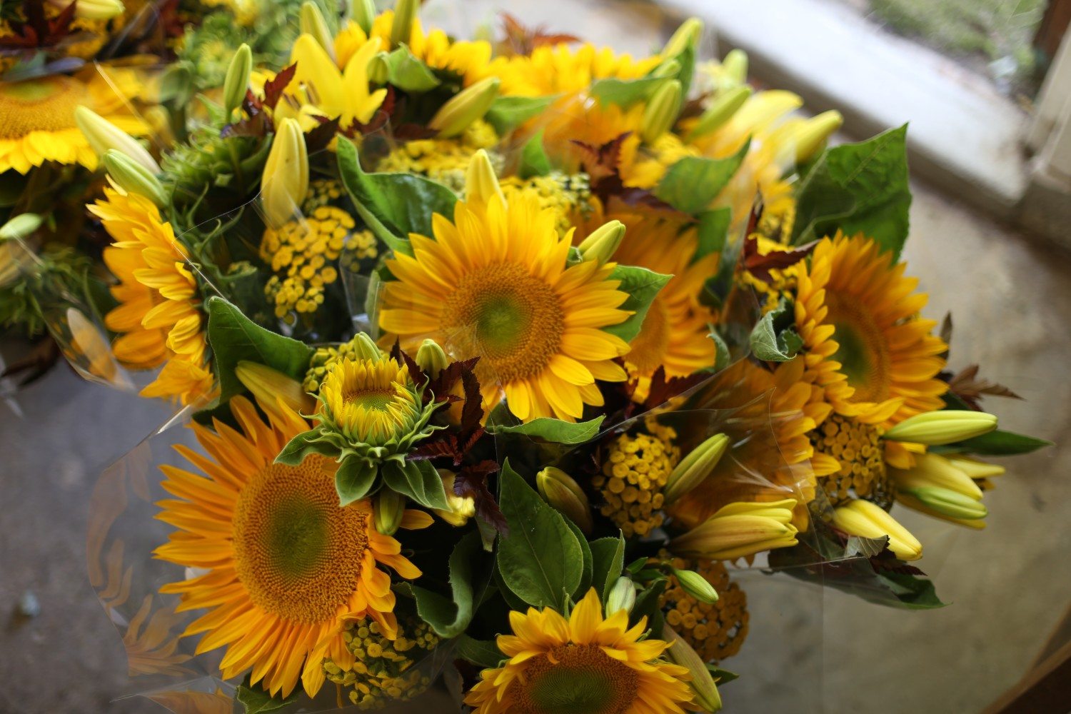 Heat loving sunflowers