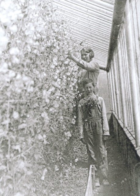 Dad with Grandma sweet peas0002