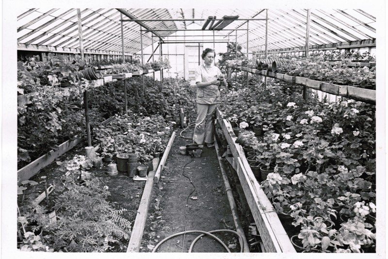 Mom in geranium house a