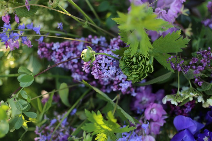 bouquet di lillà