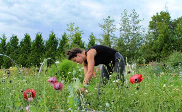 Vincitrice della borsa di studio Floret Kylie Lewis