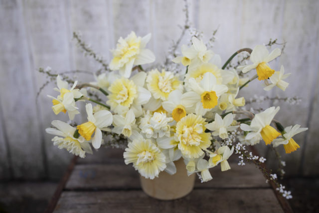 Bouquet di narcisi e narciso dalla Floret Flower Farm A Year in Flowers Week 14