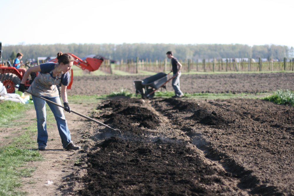 Preparazione del letto Floret con l'aggiunta di compost