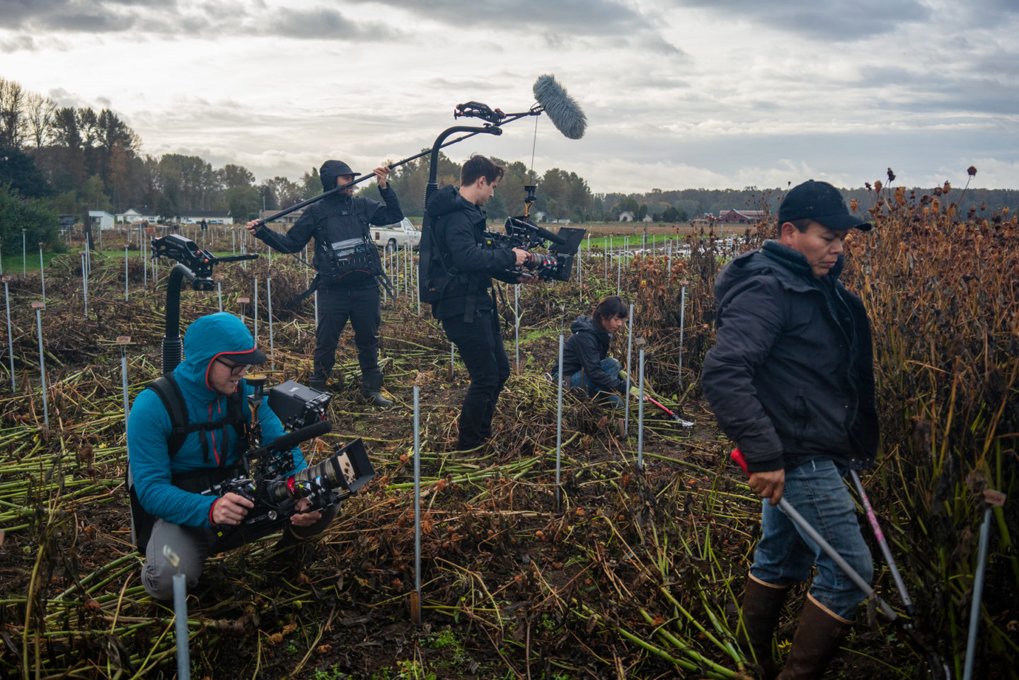 Dietro le quinte delle riprese di Growing Floret per la Magnolia Network