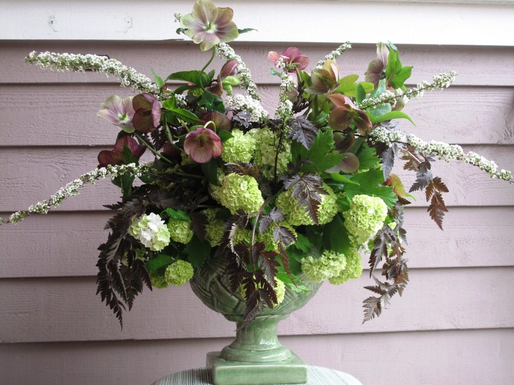 green_urn_hellebores_viburnum