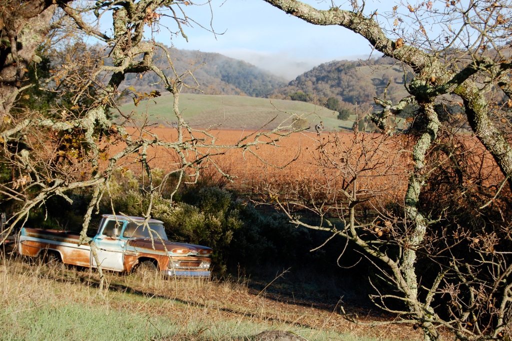 Vista di Napa