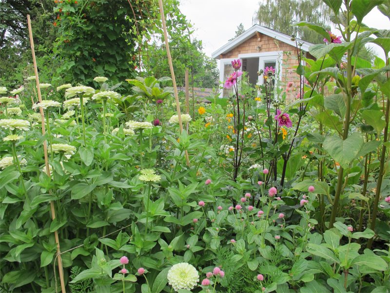 Botanique cutting garden