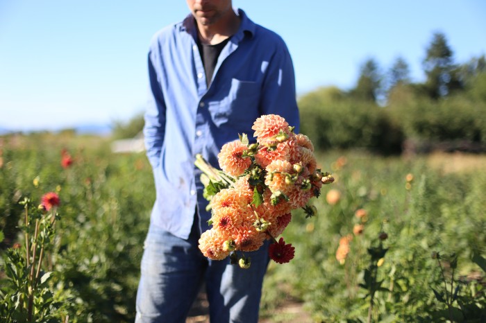 Fattoria dei Fiori Floret Dahlie