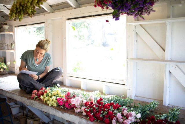 Professionista dei fiori che prende appunti con mazzi di garofani