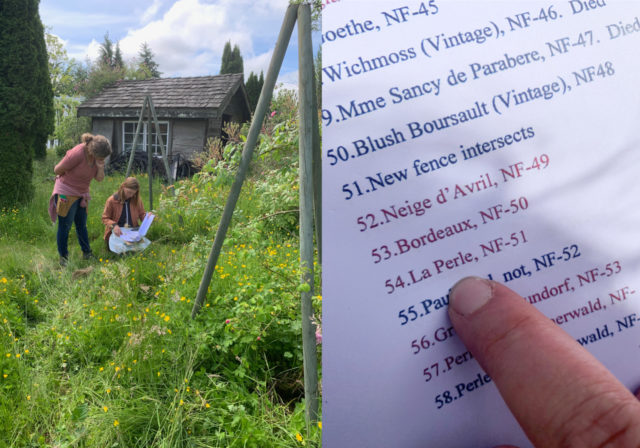 Il team Floret visita i giardini di rose di Anne Belovich e cerca di identificare le piante