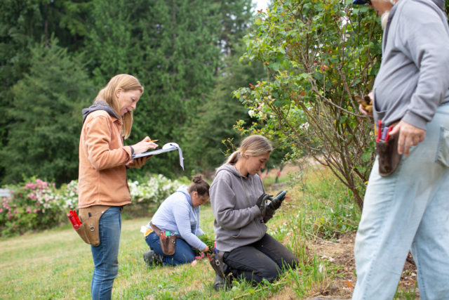 Il team Floret visita i giardini di rose di Anne Belovich e cerca di identificare le piante