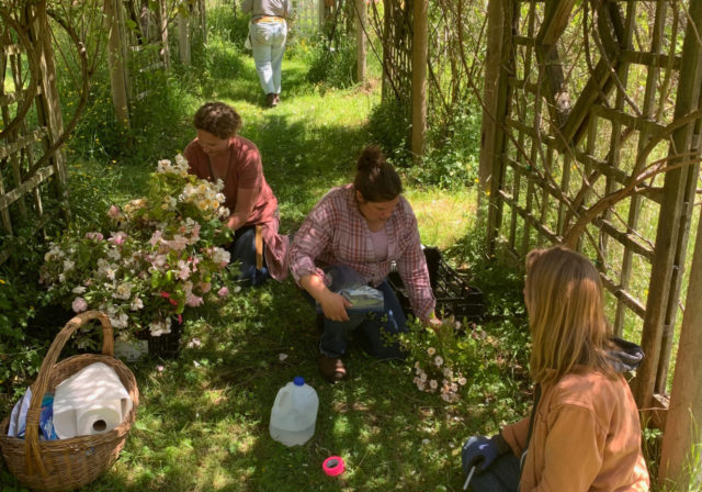 Il team Floret visita i giardini di rose di Anne Belovich e prende talee