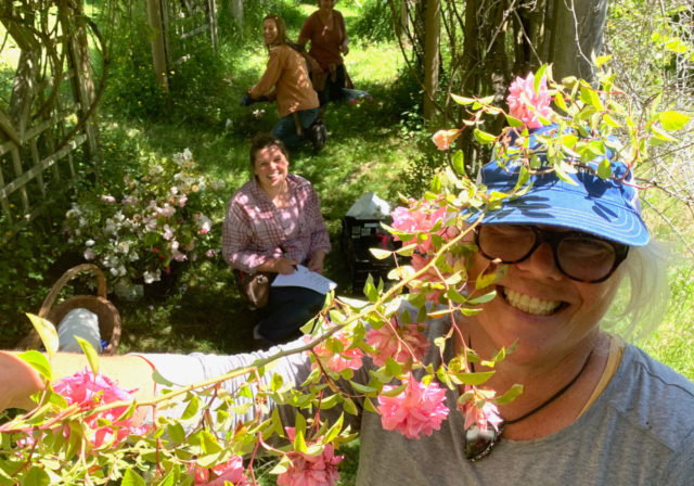 Il team Floret visita i giardini di rose di Anne Belovich