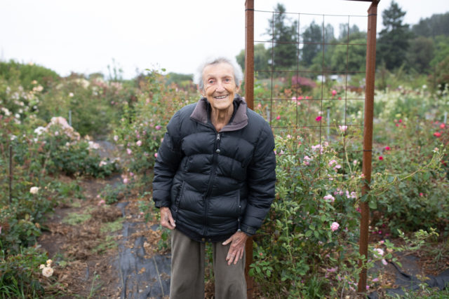 Anne Belovich visita le rose di Floret