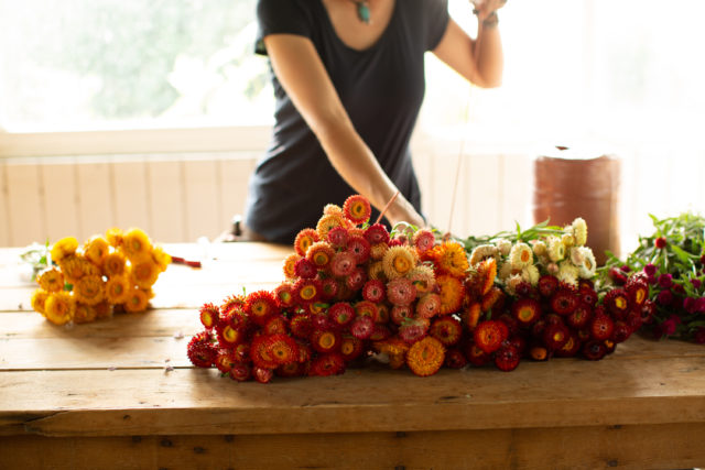 legare mazzi di strawflower essiccati