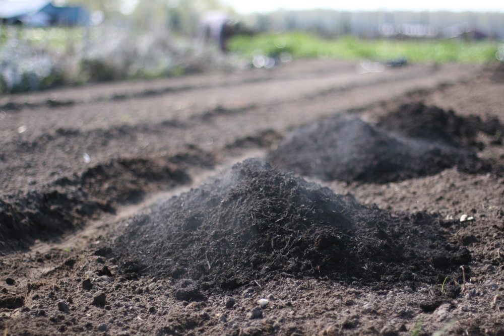 Compost e fertilizzante organico per la preparazione dei letti