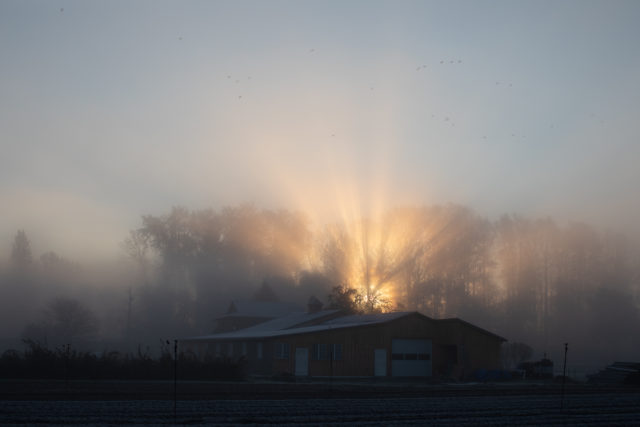 luce sopra il fienile all'alba